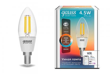Лампа светодиодная Smart Home Filament gauss